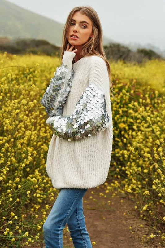 Davi & Dani Sequin Sleeve Sweater Knit Top