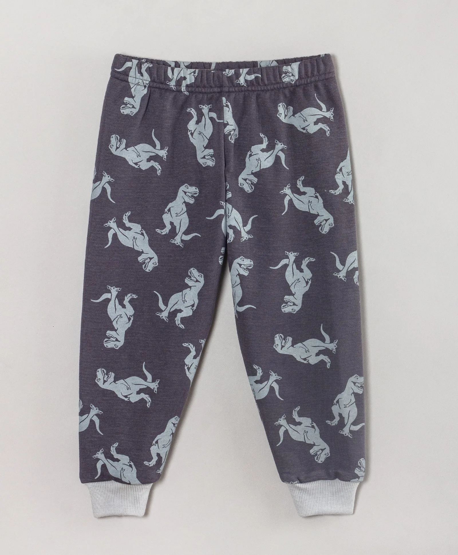 GREY DINO PRINT TRACKSUIT